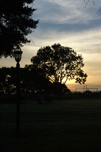 Sunrise at Country Charm
